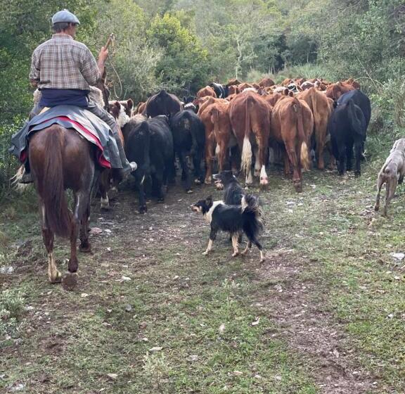 ホテル Estancia La Pilona