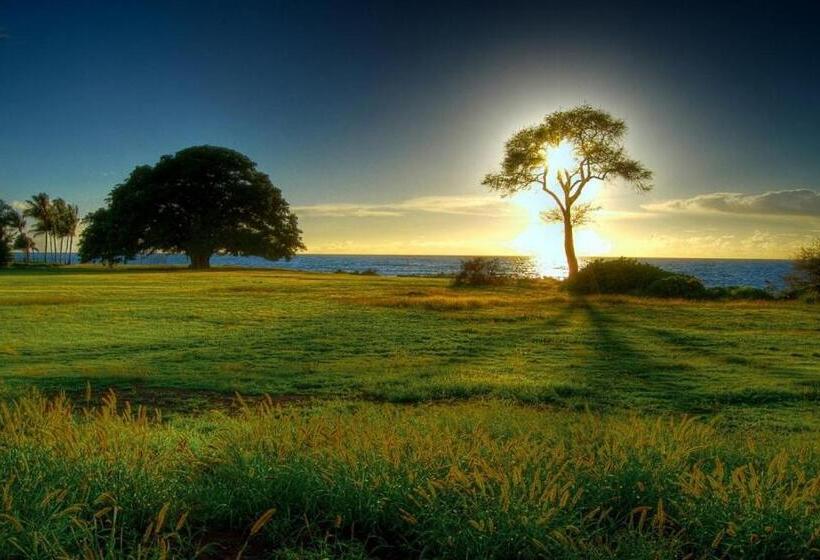 Отель Maceio Ponta Verde