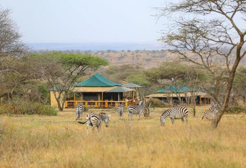 فندق Ndoto Serengeti Camp