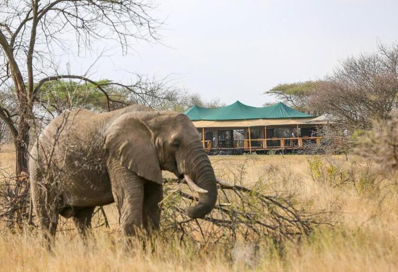 فندق Ndoto Serengeti Camp