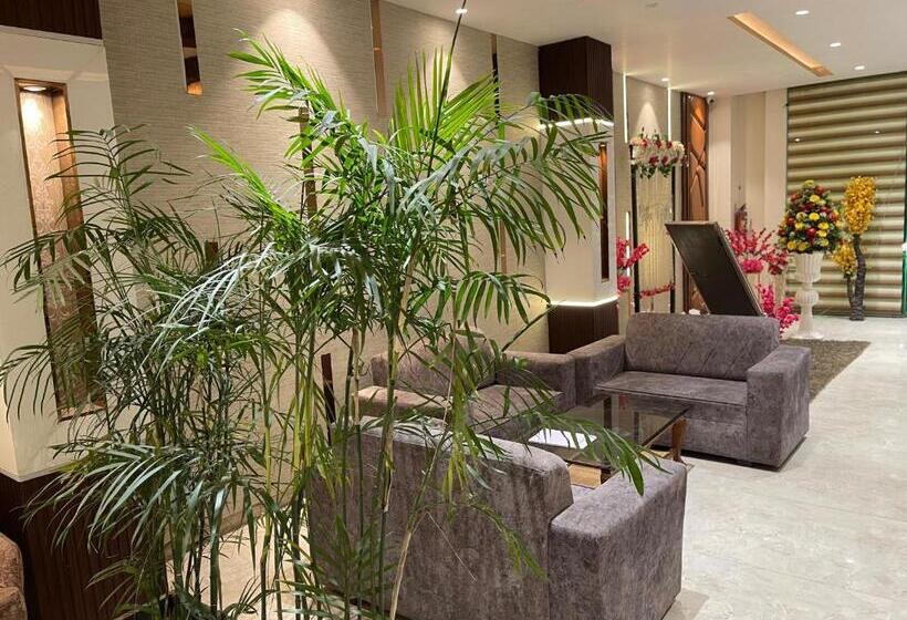 Отель Paradise Dream