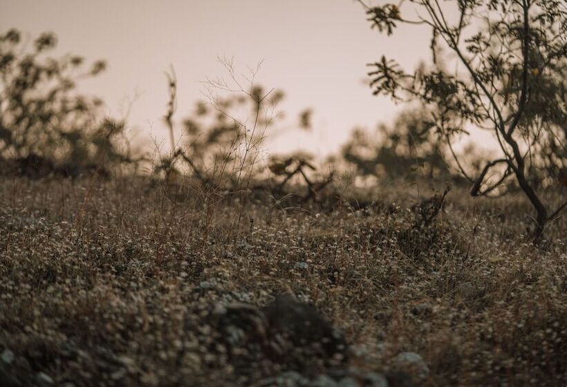 فندق Riva Stays And Trails