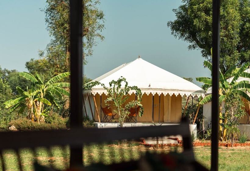 فندق Riva Stays And Trails