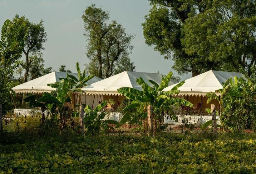 فندق Riva Stays And Trails