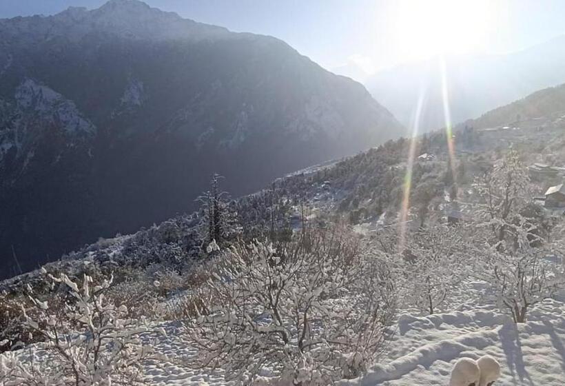 Отель Rocks And Pine Auli