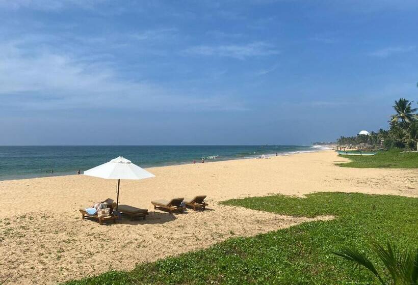 Отель Sea Star Boutique