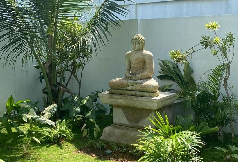 Отель Sea Star Boutique