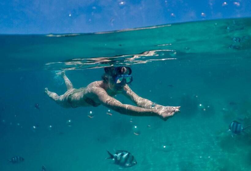 Отель S@fe Landing Lodge