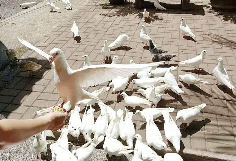 호텔 Silangang Nayon