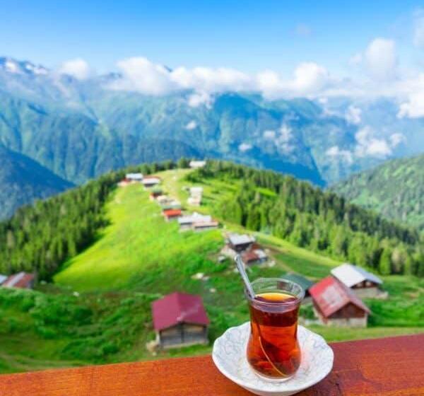 בית מלון כפרי Verdedavillas Verde Da Villas