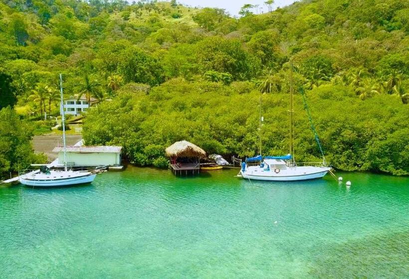 פנסיון Aeolus Guest House