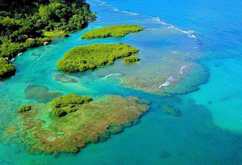 פנסיון Aeolus Guest House