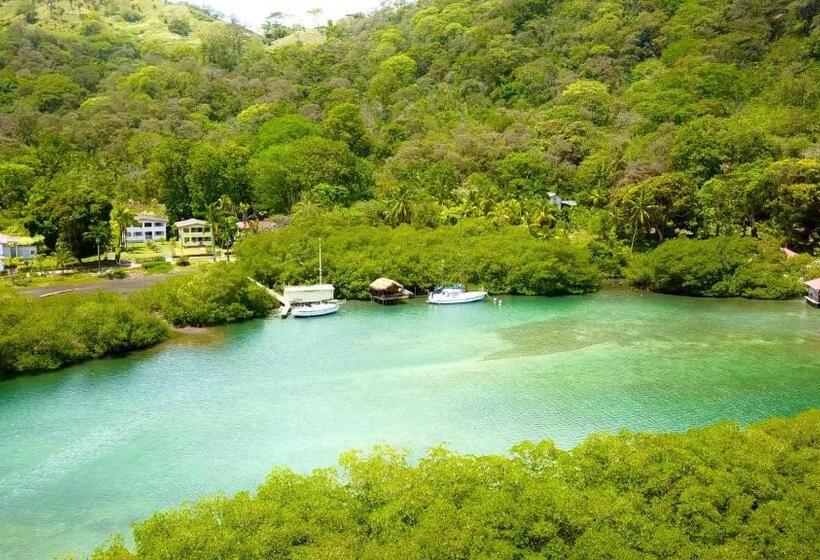 פנסיון Aeolus Guest House