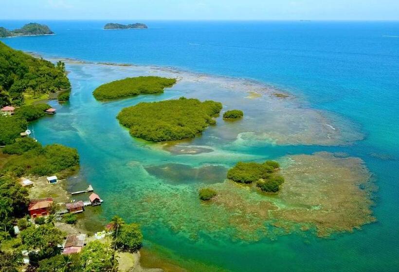 פנסיון Aeolus Guest House