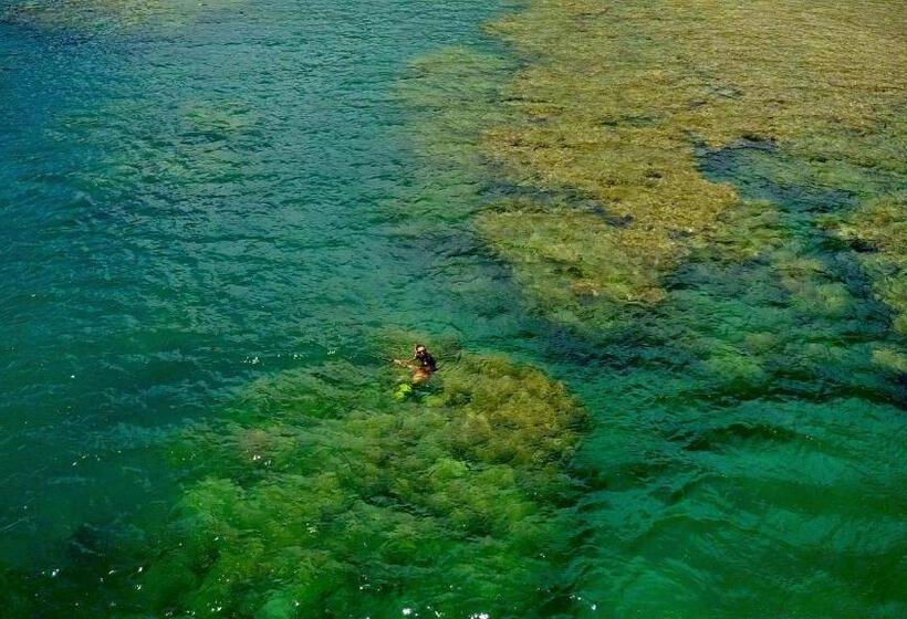 פנסיון Aeolus Guest House