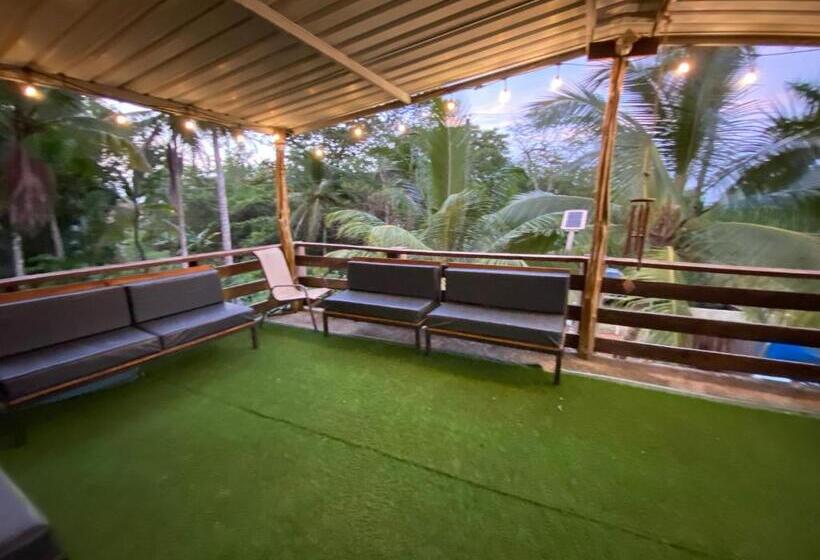 פנסיון Aeolus Guest House