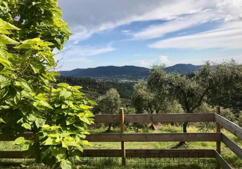 펜션 Affittacamere St Roch   Colazione, Bagno Annesso E Giardino   La Spezia