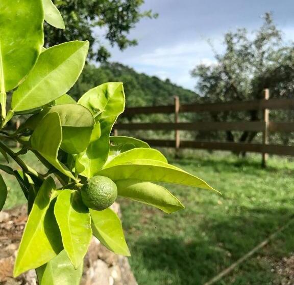 膳宿费 Affittacamere St Roch   Colazione, Bagno Annesso E Giardino   La Spezia