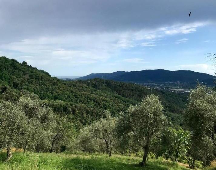 펜션 Affittacamere St Roch   Colazione, Bagno Annesso E Giardino   La Spezia