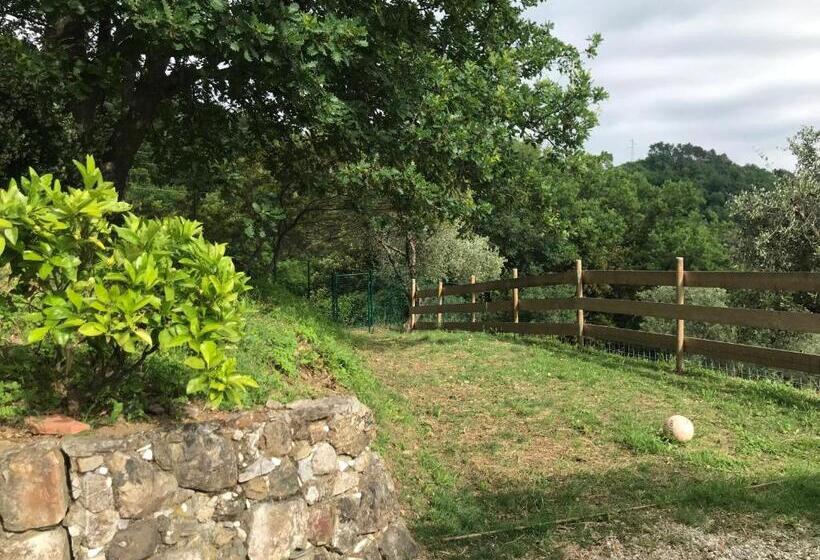 膳宿费 Affittacamere St Roch   Colazione, Bagno Annesso E Giardino   La Spezia