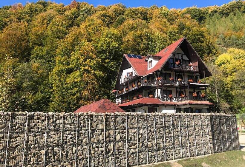 膳宿费 Cabana Izvoarele Doftanei