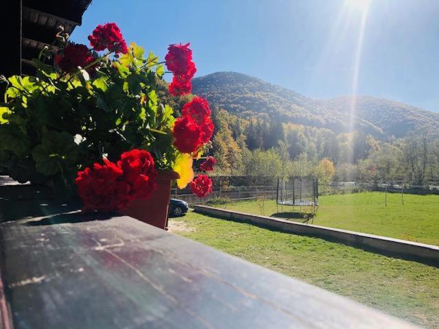 膳宿费 Cabana Izvoarele Doftanei