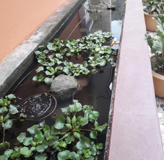 Пансион Dd Guest House