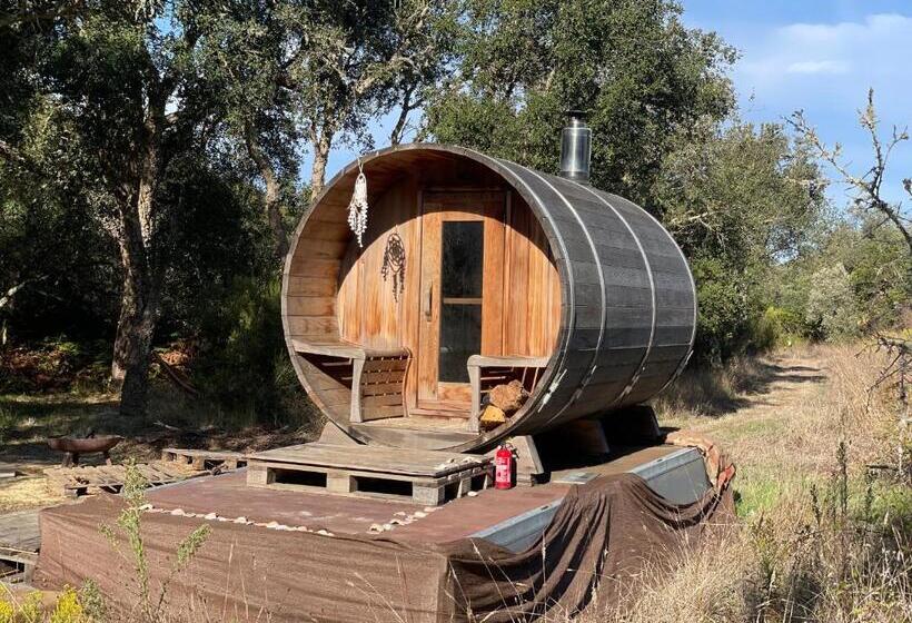 بنسيون Essencia Guesthouse