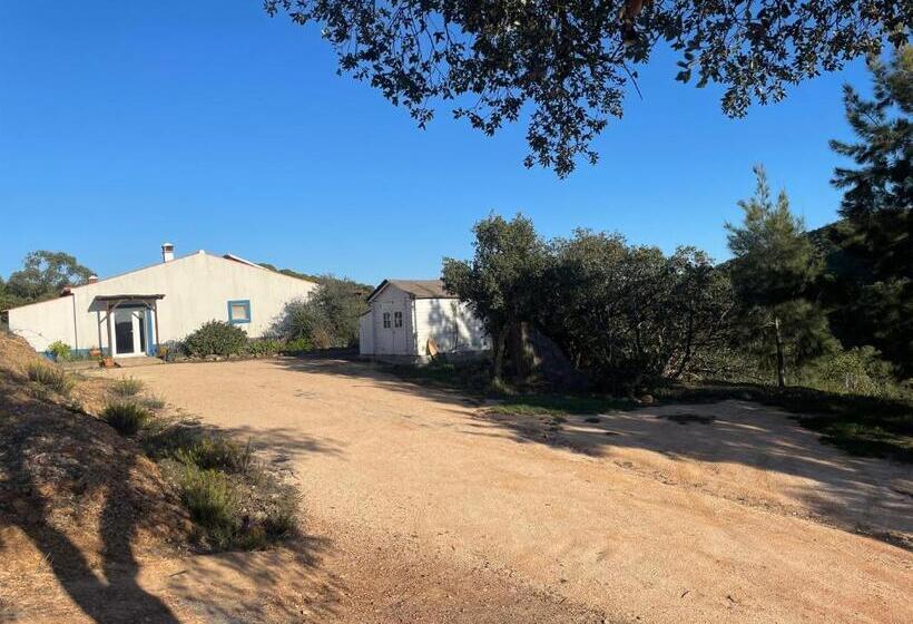 بنسيون Essencia Guesthouse