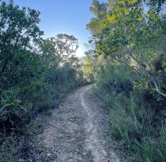 بنسيون Essencia Guesthouse