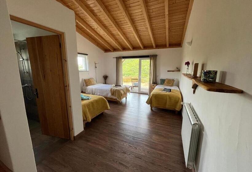 بنسيون Essencia Guesthouse