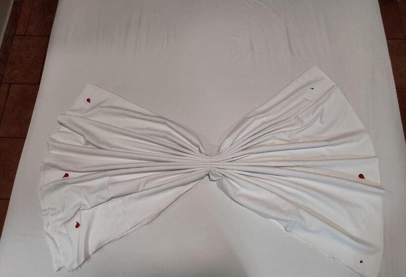 膳宿费 Guest Room Tirana Center