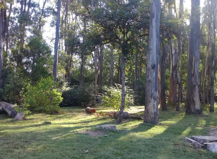 پانسیون Habitación Payesa En El Bosque, La Barra