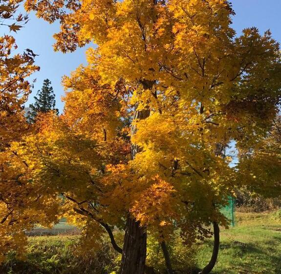 بنسيون A Short Walk To Akakura Onsen Ski Lift And Town By Japow House