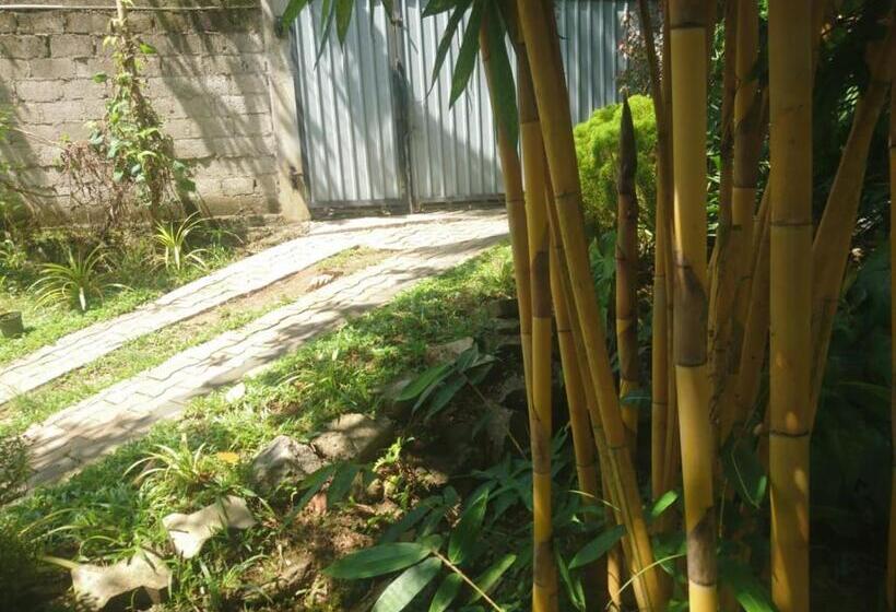 펜션 Villa Manu Hikkaduwa