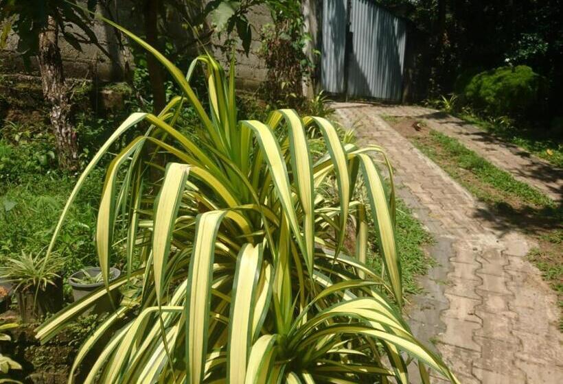 펜션 Villa Manu Hikkaduwa