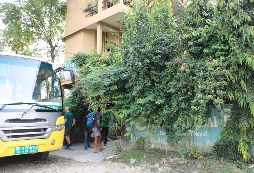 펜션 Nikunj Safari Guest House Sauraha  A Place Where You Can Book Jungle Wildlife Safari