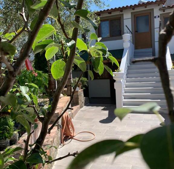 پانسیون Oxhaku Guest House