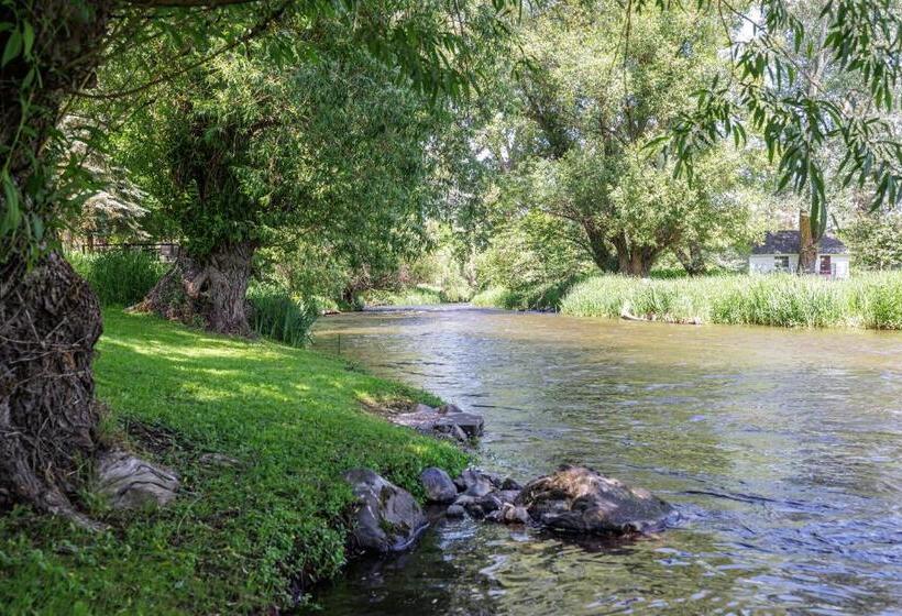 بنسيون Quiet Waterfront Cottage On The Little Spokane River