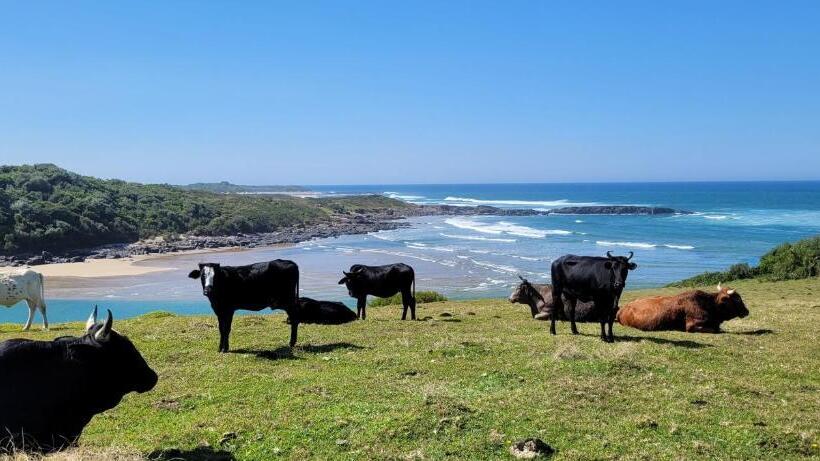 بنسيون Tribal Retreat