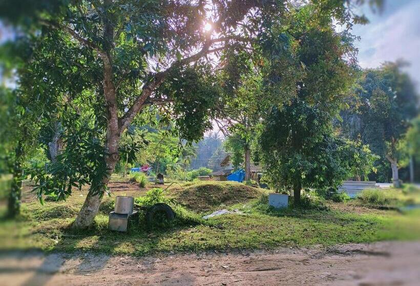 펜션 Tripovali Guest 2