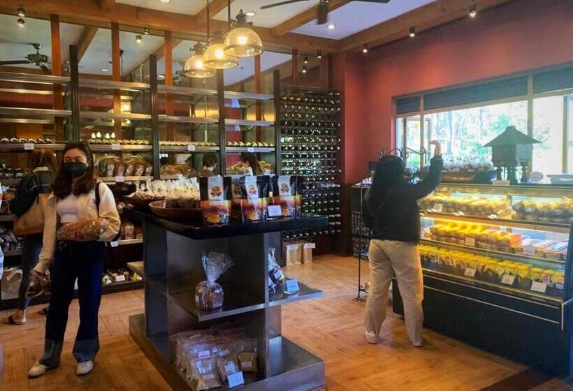 The Manor Hotel Baguio Private Unit Superior Room With A Great View