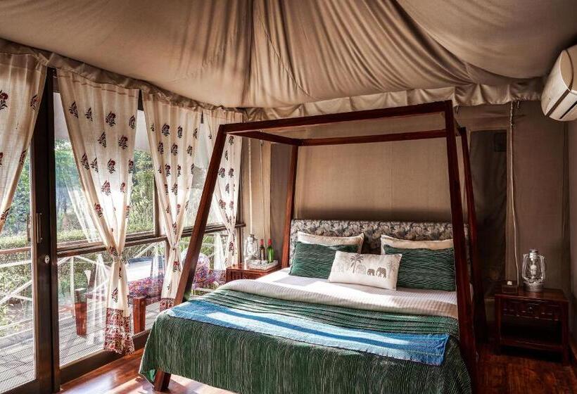 渡假胜地  Bagh Tola, Bandhavgarh Tiger Reserve