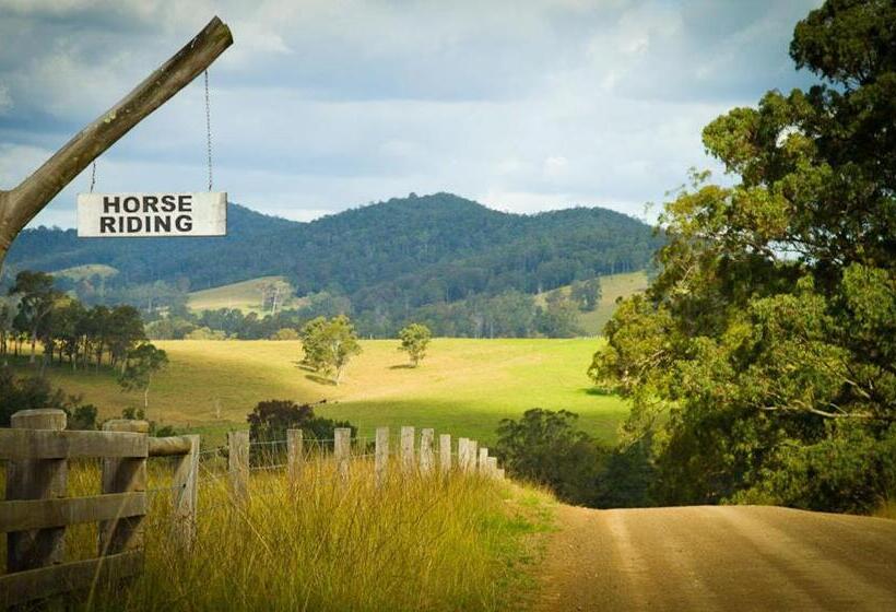 אתר נופש Riverwood Downs Of Barrington Tops