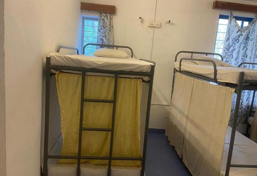 Stargaze Resort And Hostel