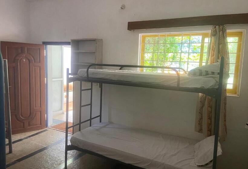 Stargaze Resort And Hostel