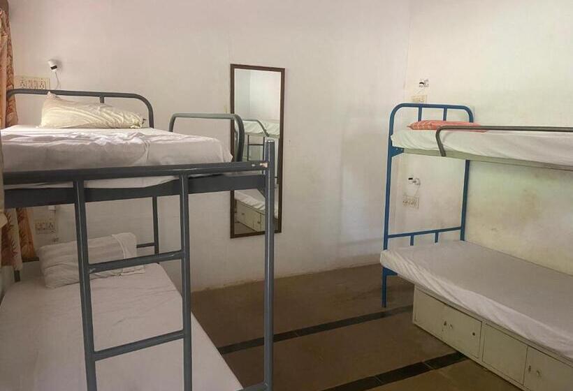 Stargaze Resort And Hostel