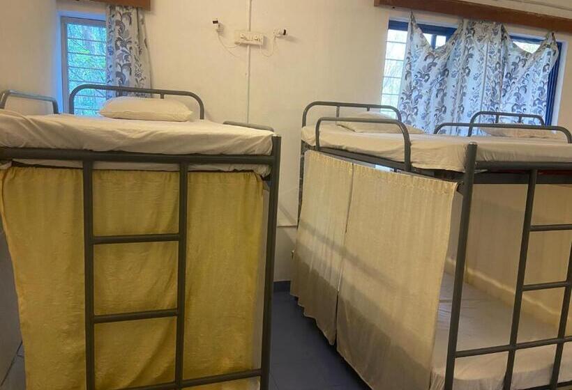 Stargaze Resort And Hostel