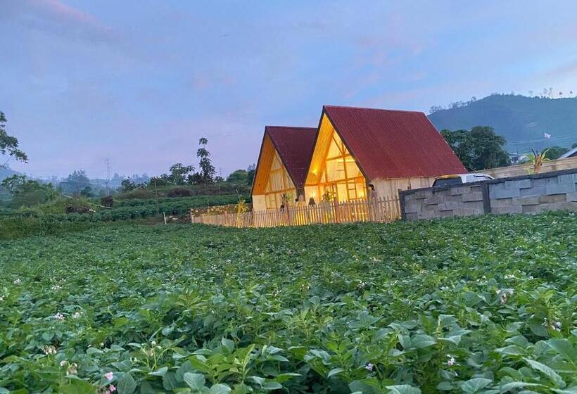 فندق صغير Martos Villa Dieng