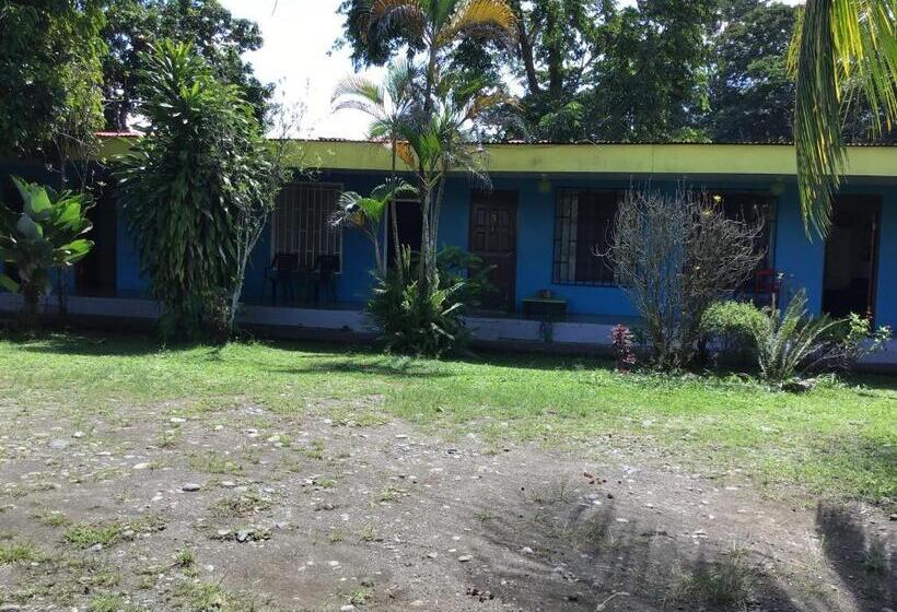 旅馆 Palmera Rooms Caribe